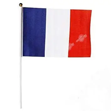 Bandiera Francia con bastone 30x45cm