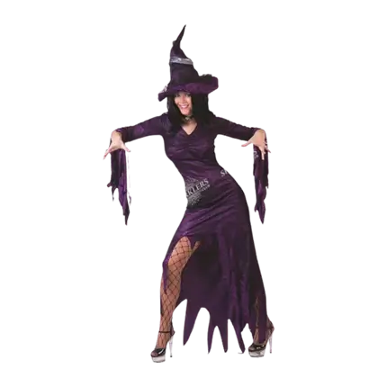 Costume da strega donna viola S/M