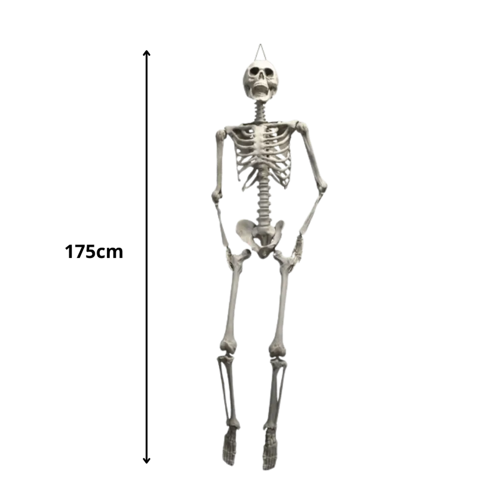 Scheletro gigante da appendere 200cm