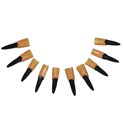 Confezione da 10 dita in lattice