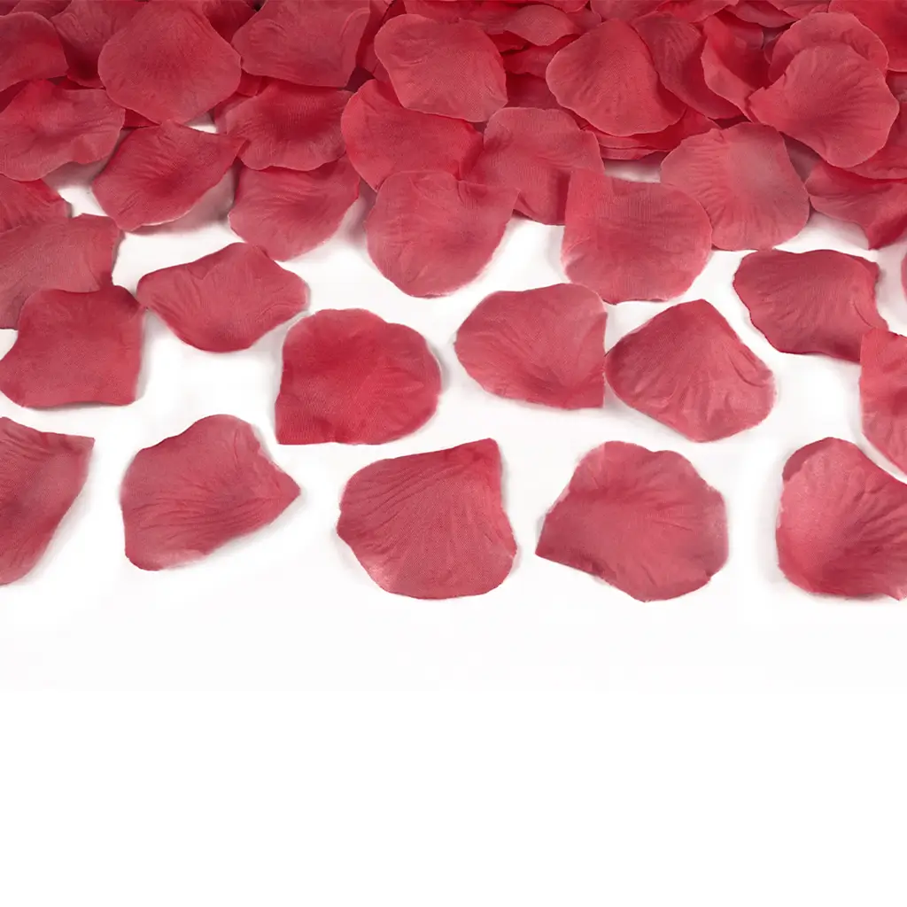 Canon coriandoli 80cm petali rosa colore rosso