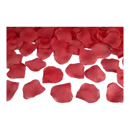 100 petali di rosa rossi