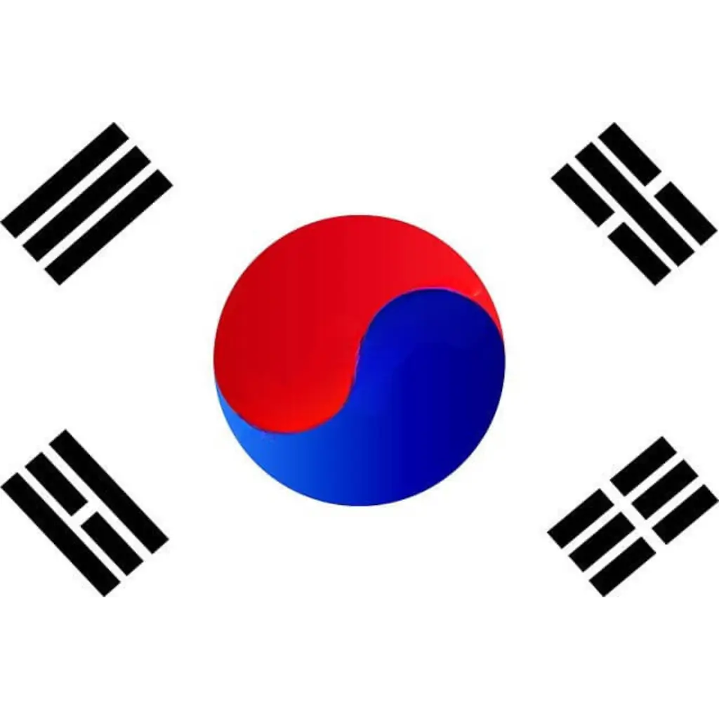 Bandiera della Corea del Sud 90x150cm