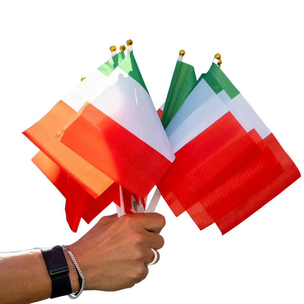 Lotto di 12 Bandiere Italia 15x22cm