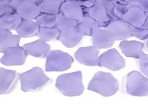 100 petali di rosa viola