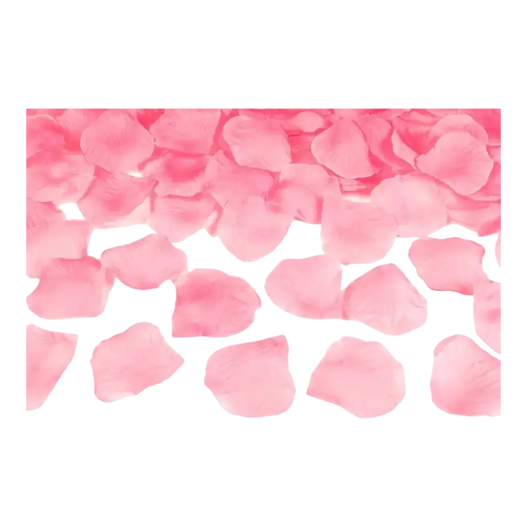 100 petali di rosa rosa chiaro