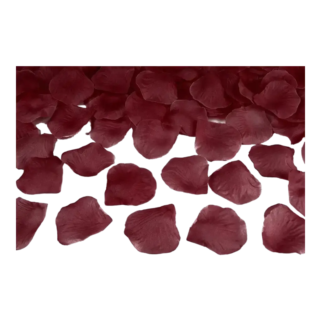 100 petali di rosa rosso scuro