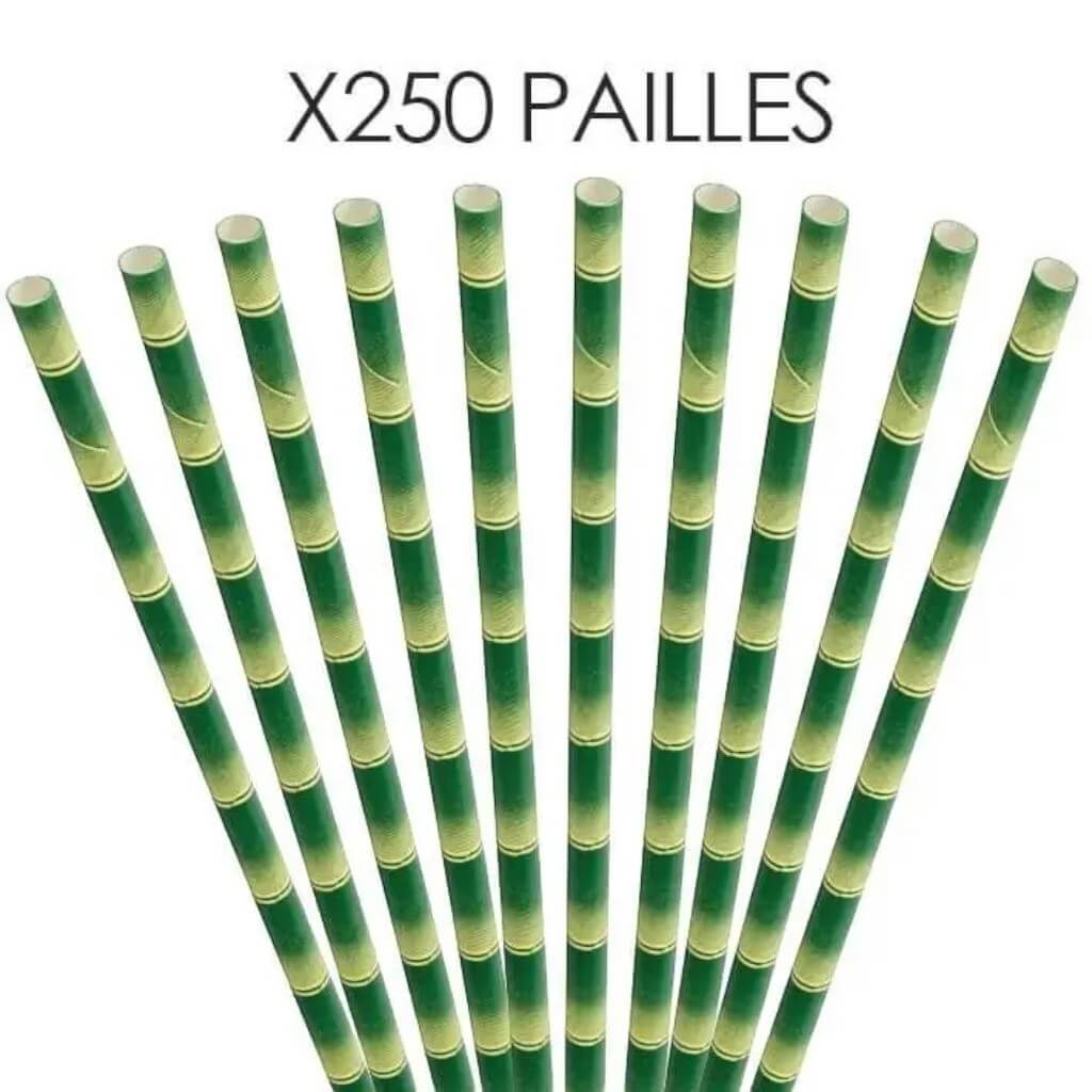 Paglia di carta di bambù 20cm /ø6mm (250 pz)