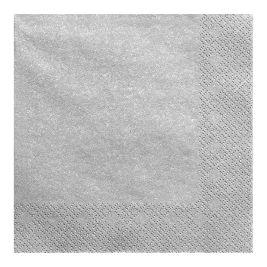 Asciugamano di carta argento/argento (set da 20)