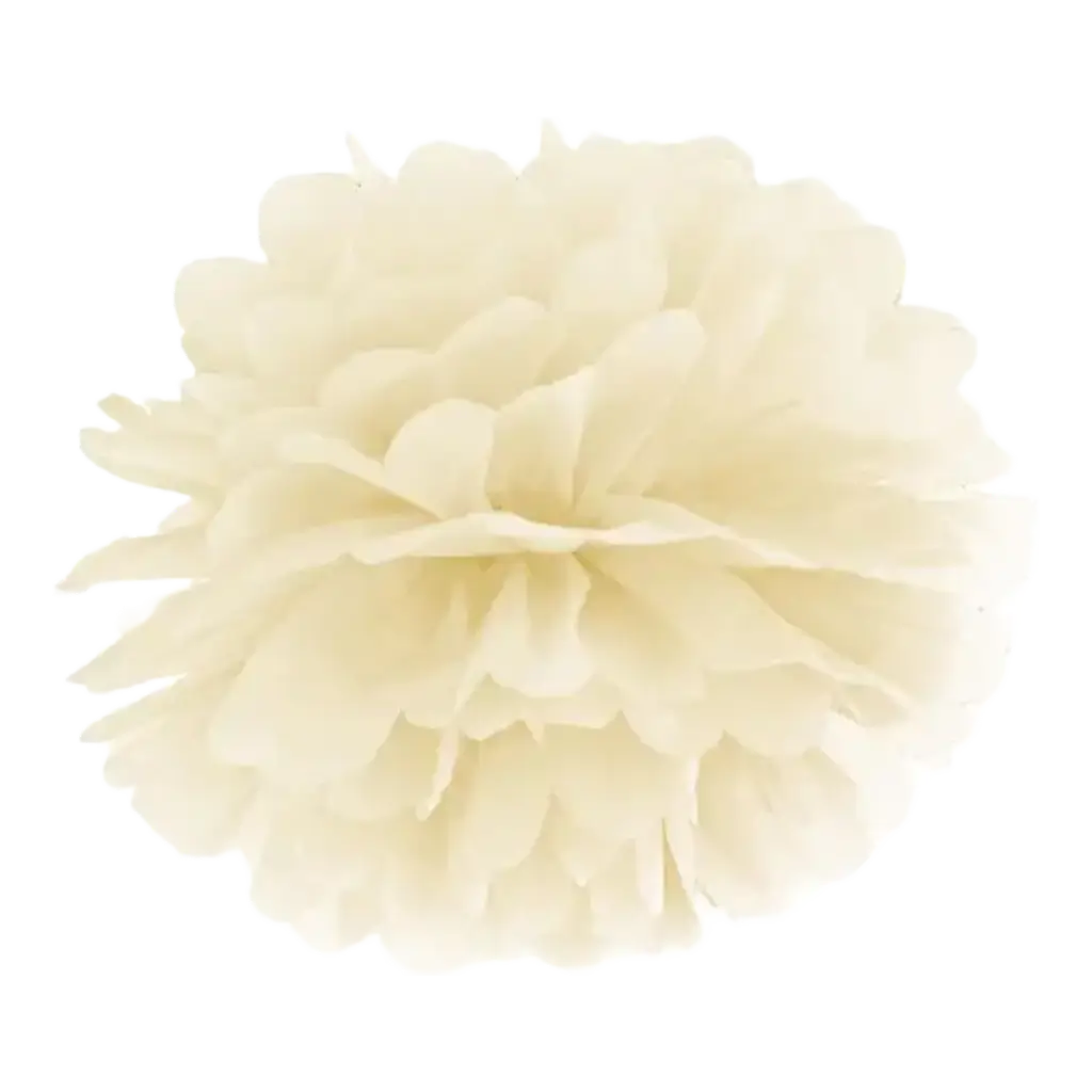 Crema di carta pompon 25cm