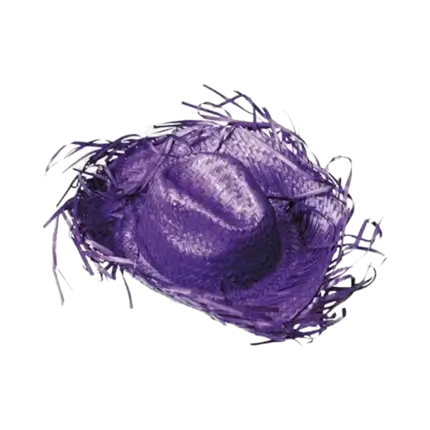 Cappello da cowboy viola dei Caraibi