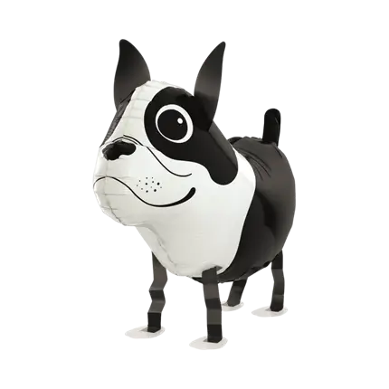 Boston Terrier Dog Ball 48cm
