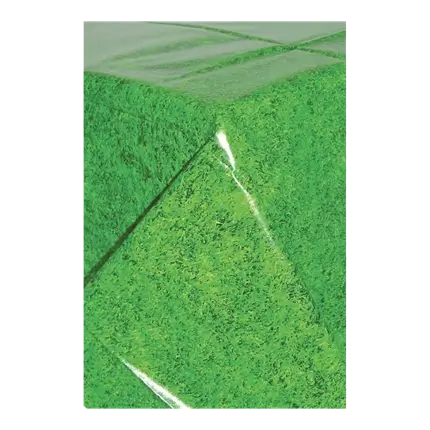Tovaglia di plastica Campo da calcio 243x137cm