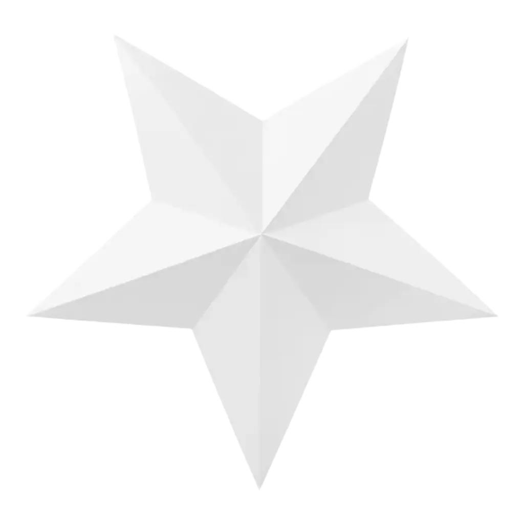 Decorazione a stelle bianche (6 pezzi)