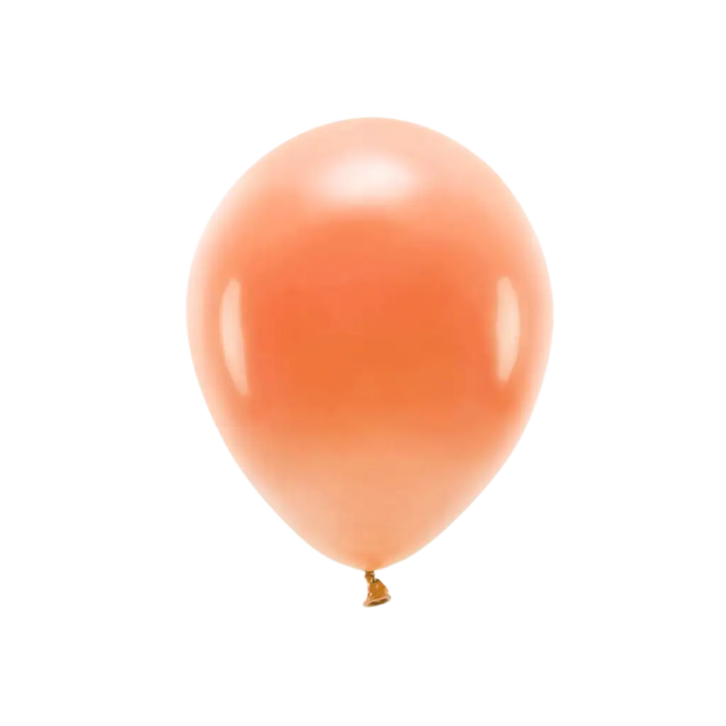 Confezione da 10 palloncini biodegradabili arancioni