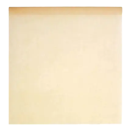 Tovaglia in tessuto non tessuto avorio - 10 m * 120 cm