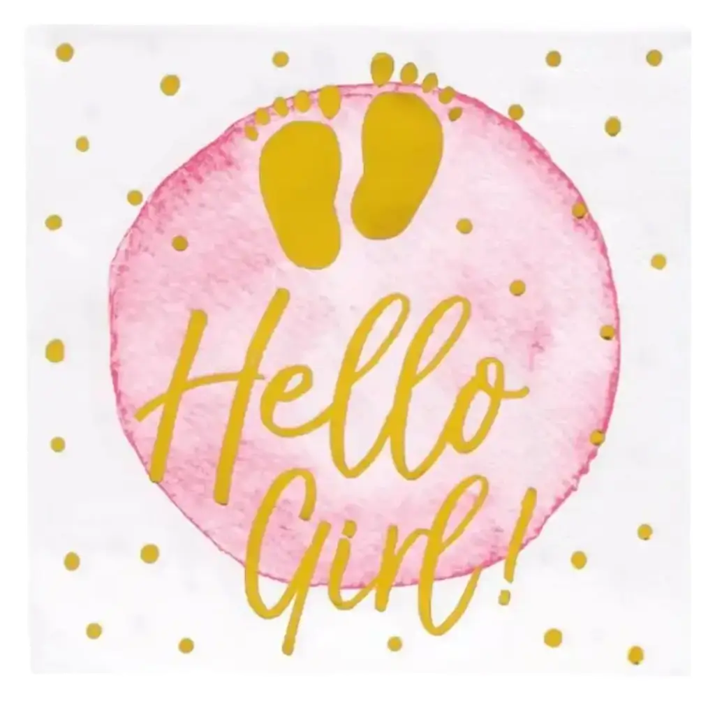 Asciugamani di carta rosa "hello girl" (set di 20)