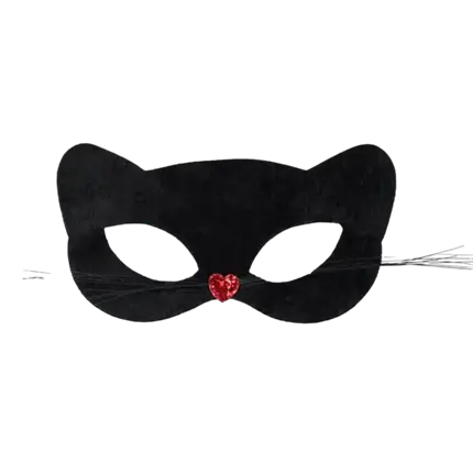 Gatto nero con baffi