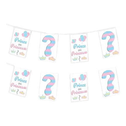 Ghirlanda di bandiere di carta Principe o principessa? - 5m