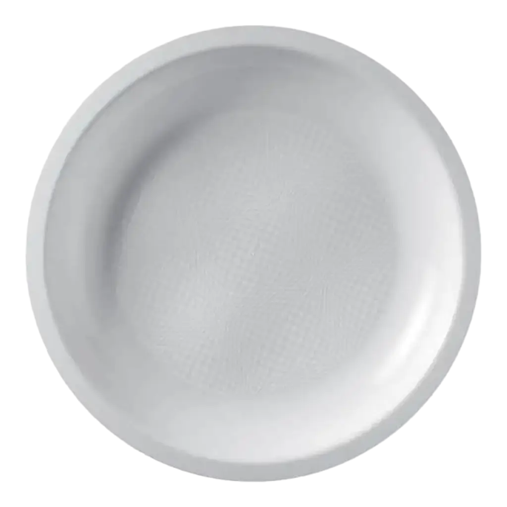 Piatto piano bianco - 22,5 cm - set di 25