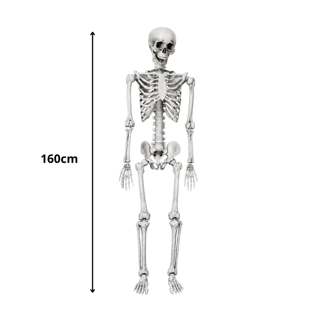 SCHELETRO GIGANTE - DIMENSIONE UMANA - 160CM