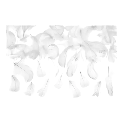 Piuma decorativa - Bianca - 3g