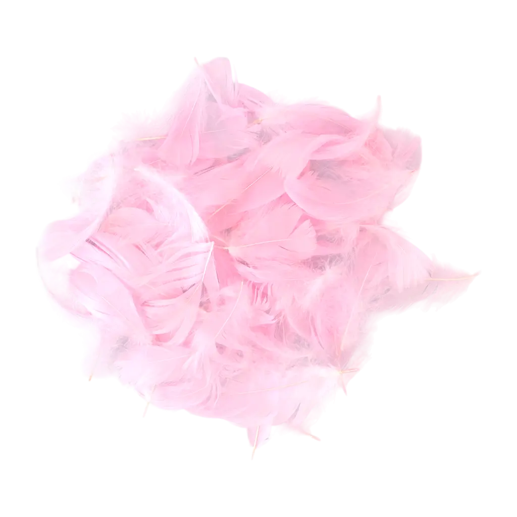 Piuma decorativa - Rosa Chiaro - 3g