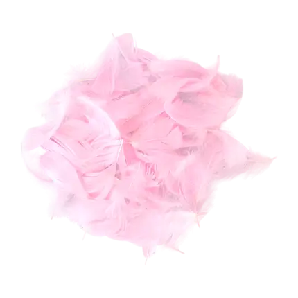 Piuma decorativa - Rosa Chiaro - 3g