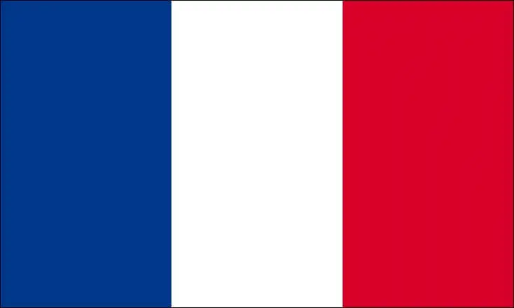 Bandiera Tricolore Francia 60x90cm con guaina