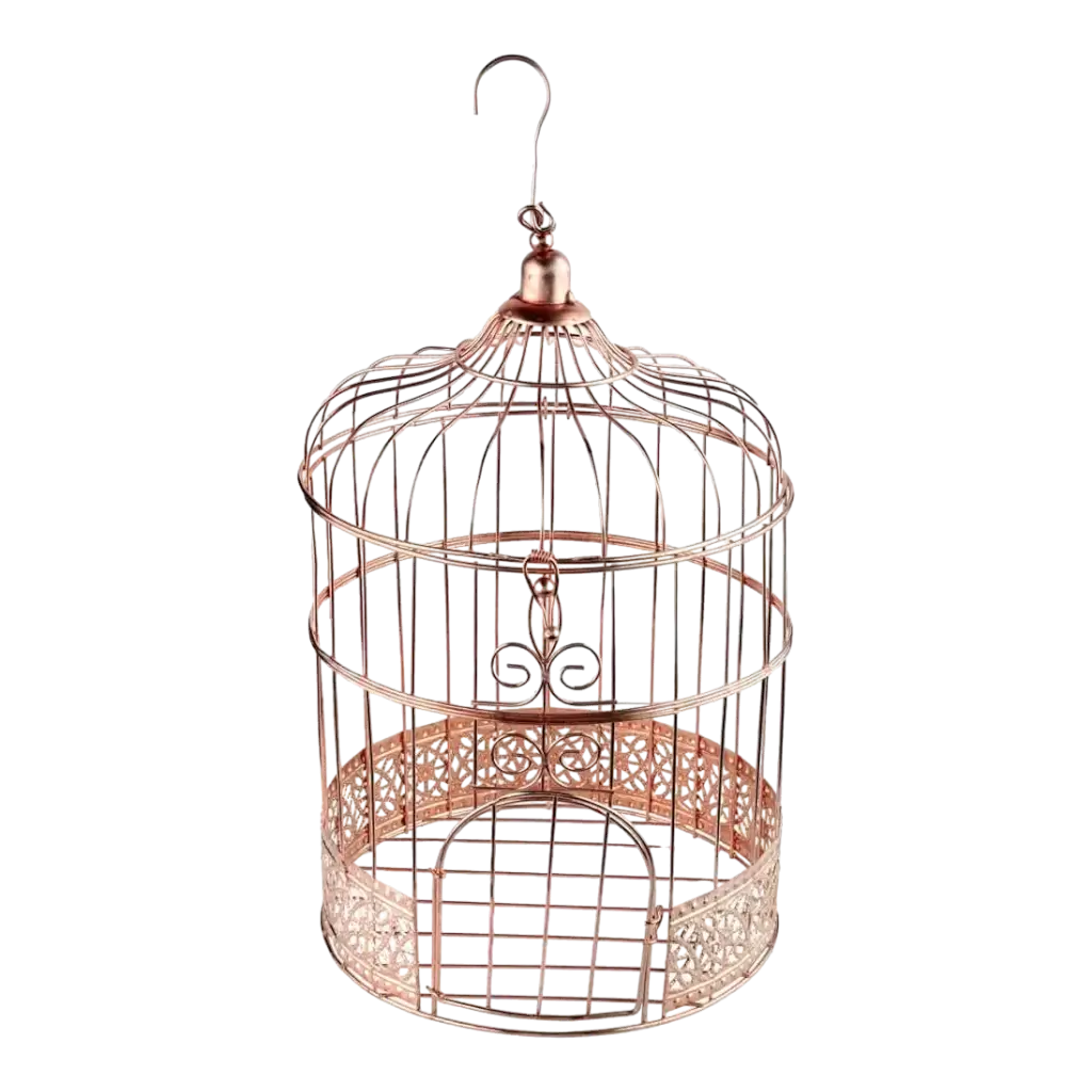 Salvadanaio Cage Rosa metallizzato