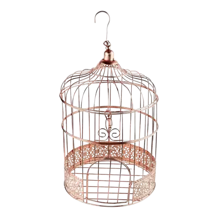 Salvadanaio Cage Rosa metallizzato