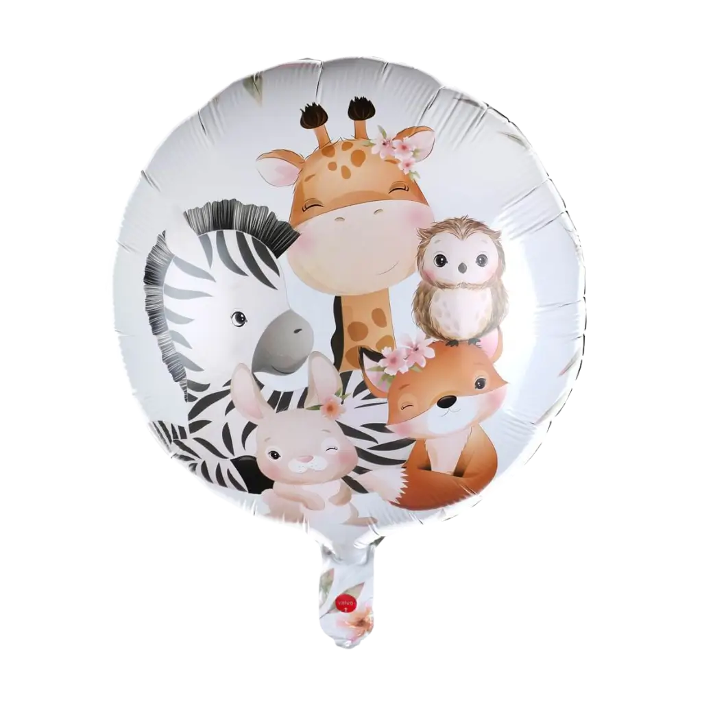 Pallone Explorer in alluminio