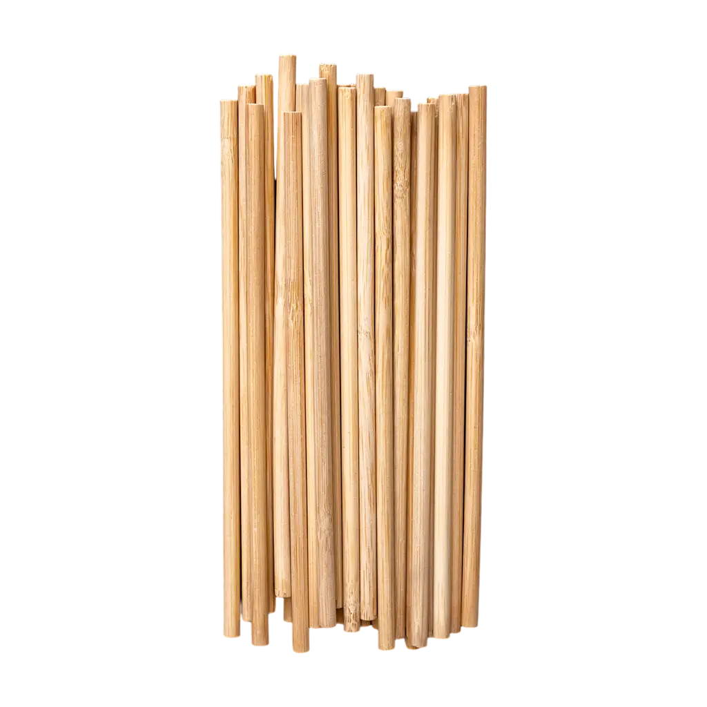 Cannuccia di bambù riutilizzabile + cartone - Ø6mm 20cm - 25 unità
