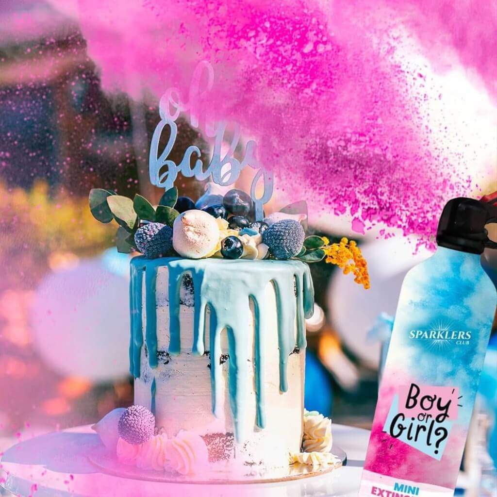 Mini Estintore Gender Reveal - Rosa