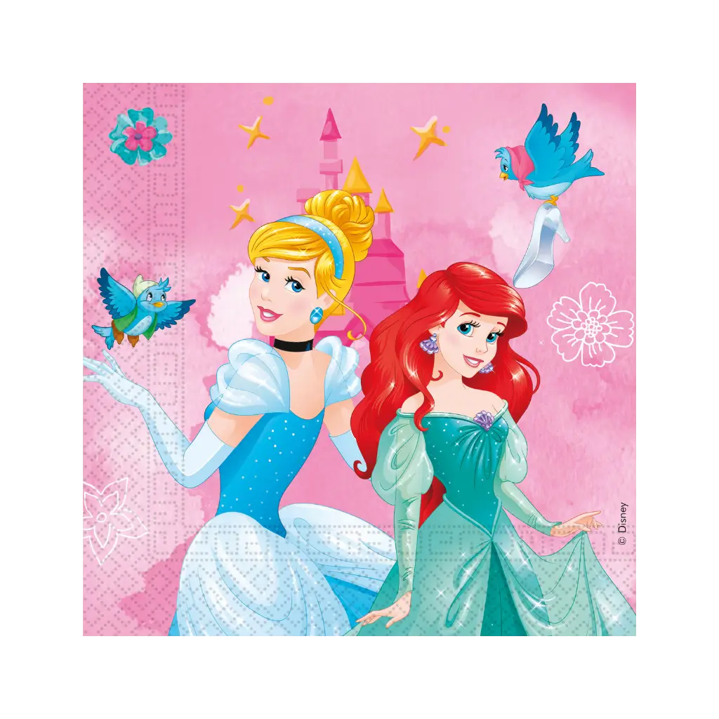 Asciugamano della Principessa Disney - Set di 20
