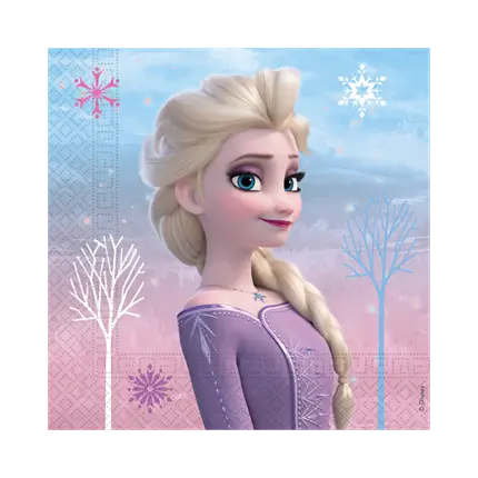 Asciugamano Snow Queen - Set di 20