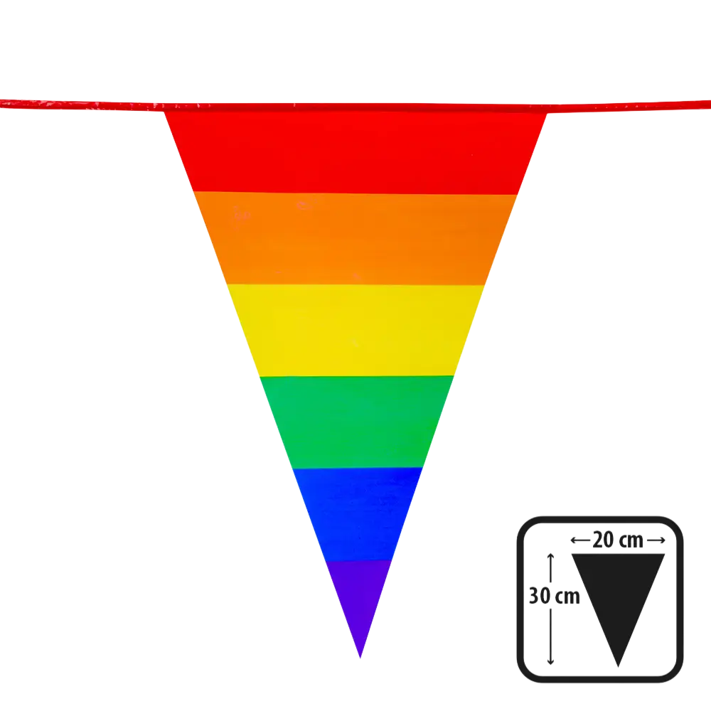 PE Ghirlanda di gagliardetti arcobaleno