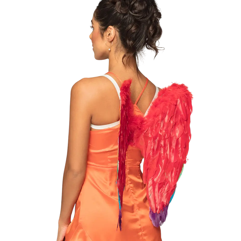 Ali d'angelo Arcobaleno divino 50x50cm