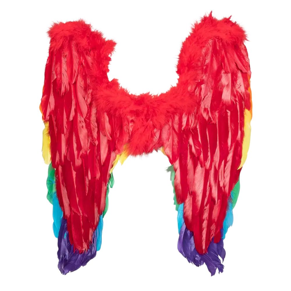 Ali d'angelo Arcobaleno divino 50x50cm