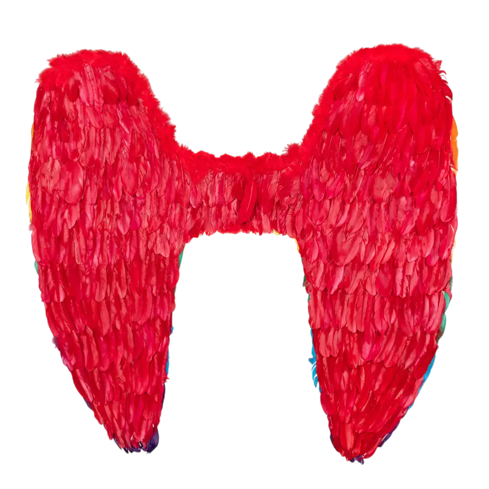 Ali d'angelo Celina arcobaleno 120x120cm