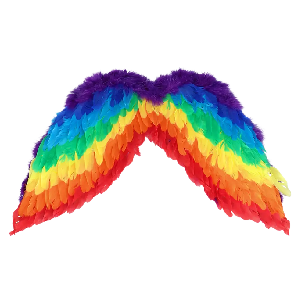 Set di angeli arcobaleno