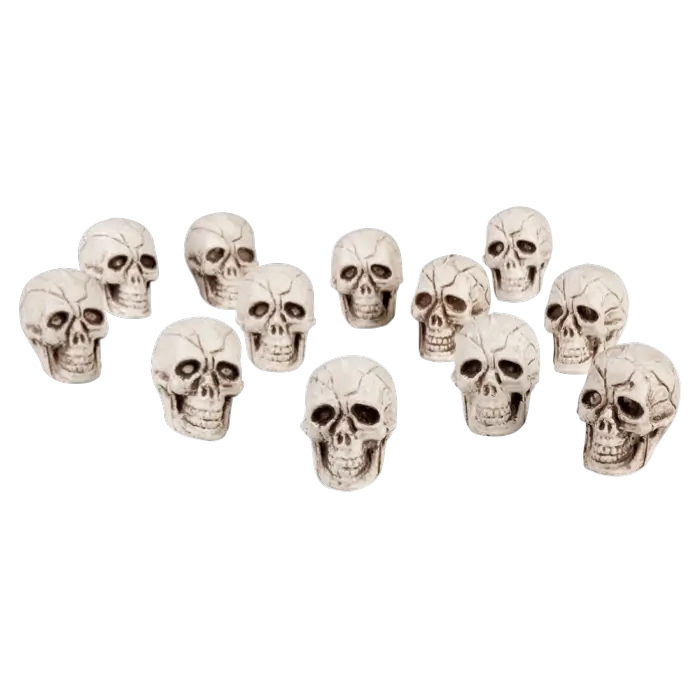 Set di 12 teschi