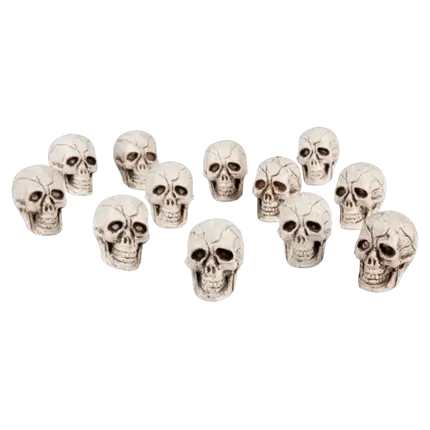 Set di 12 teschi