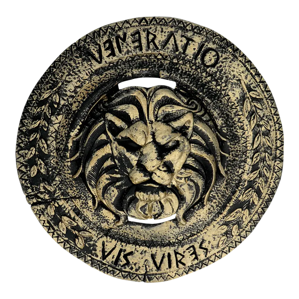 Kit cavaliere per bambini - Accessori per travestimenti per ragazzi