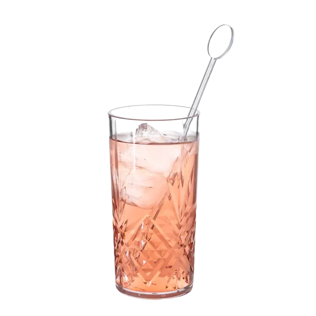 Agitatore standard per cocktail 22 cm in PP trasparente - riutilizzabile (confezione da 100)