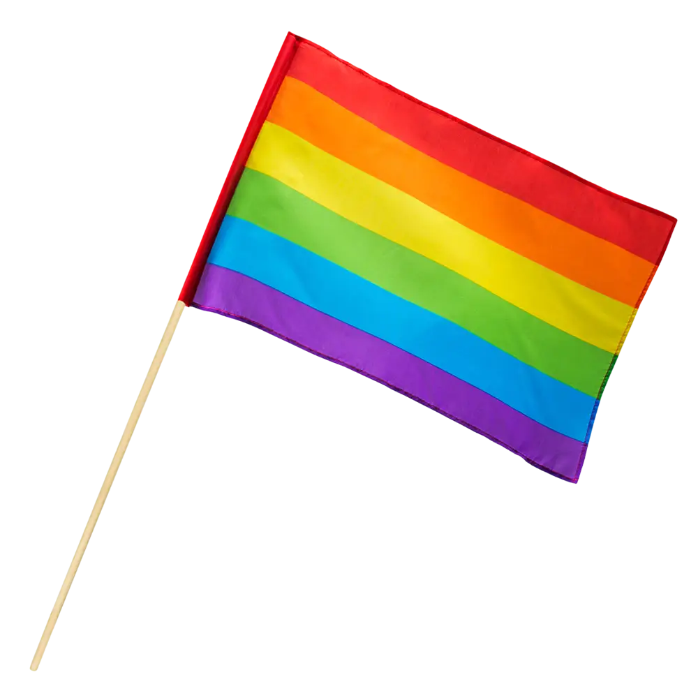 Bandiera a mano in poliestere arcobaleno