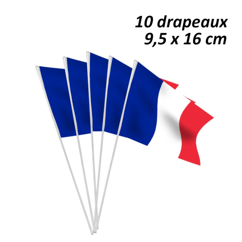 Confezione da 10 bandierine tricolori Francia
