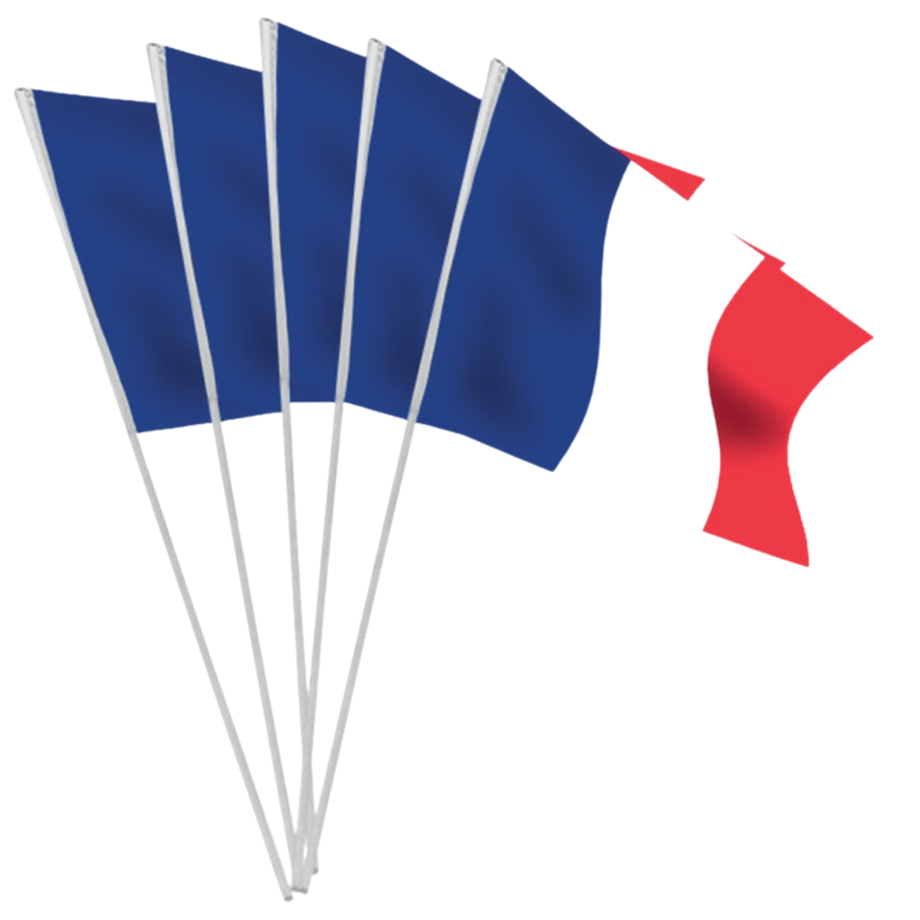 Confezione da 100 bandierine tricolori Francia