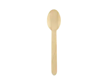 100 cucchiai di legno