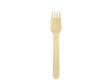 100 forchette di legno